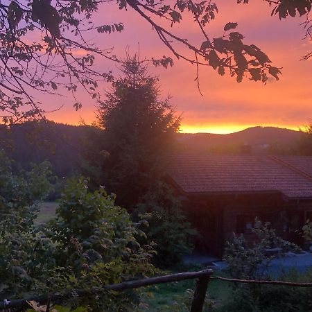 Ferienhaus Schlagintweit Drachselsried Buitenkant foto