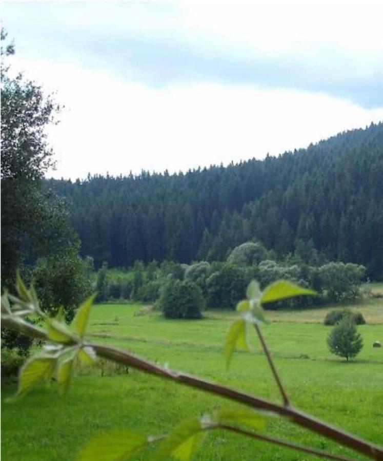 Ferienhaus Schlagintweit Drachselsried Buitenkant foto